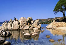 熊猫体育世界杯-利拉德爆发启示录，广东队如何以节奏掌控新疆